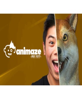 Animaze Pro 22 - Lifetime License DLC Steam Key GLOBAL
